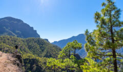 La Cumbrecita National Park in the center of the island of La Palma, Canary Islands, Spain