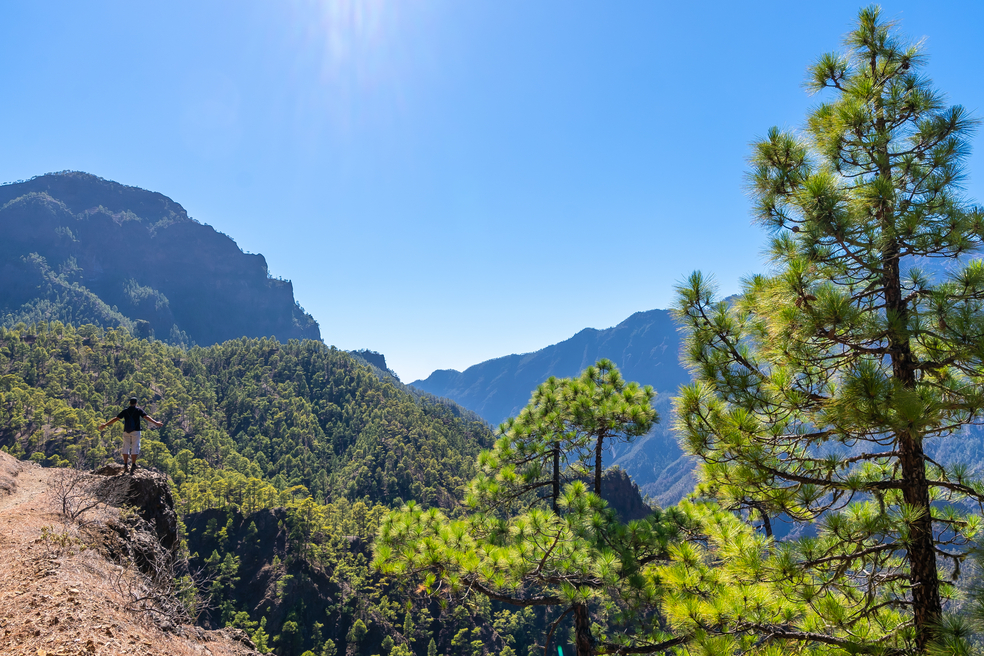 La Cumbrecita National Park in the center of the island of La Palma, Canary Islands, Spain
